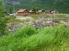 DSCI0033